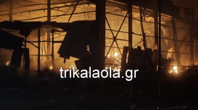 fotia violanta 9