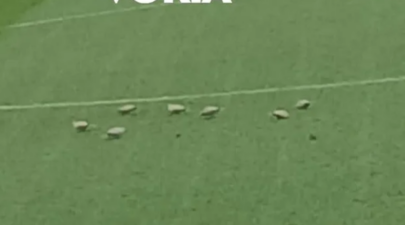 Screenshot 2026 02 01 183218