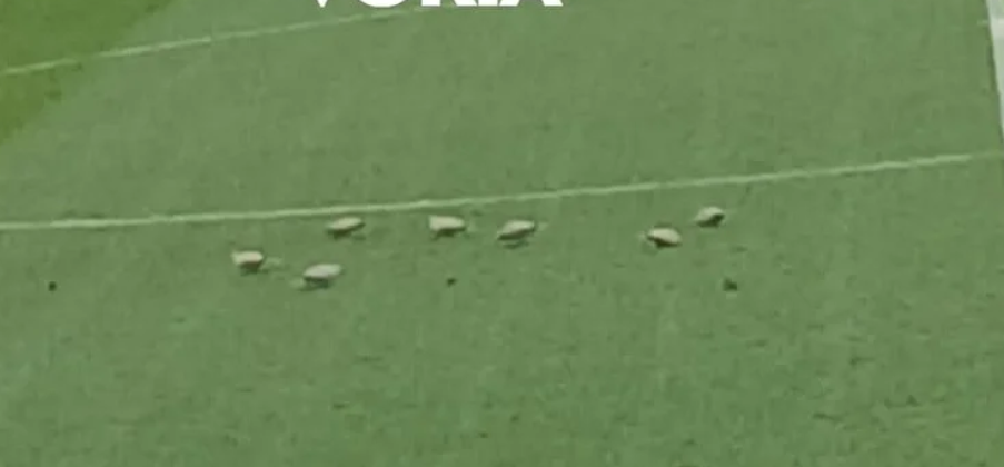 Screenshot 2026 02 01 183218