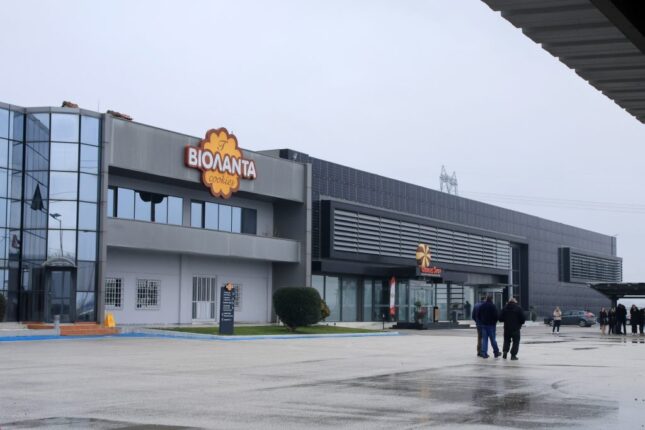 Violanta 1024x683 1 1