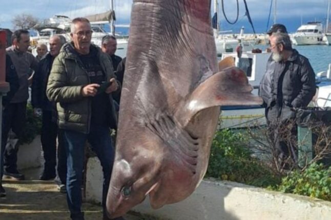 aa05b836 fe68 4cd5 9c54 d13408e83cc9