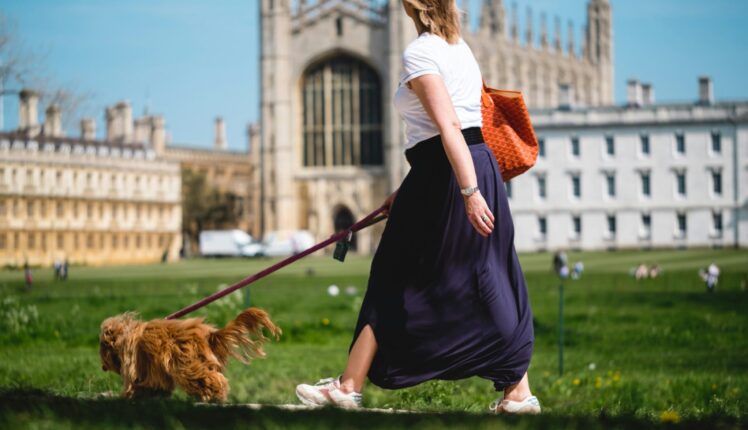 Ηνωμένο Βασίλειο