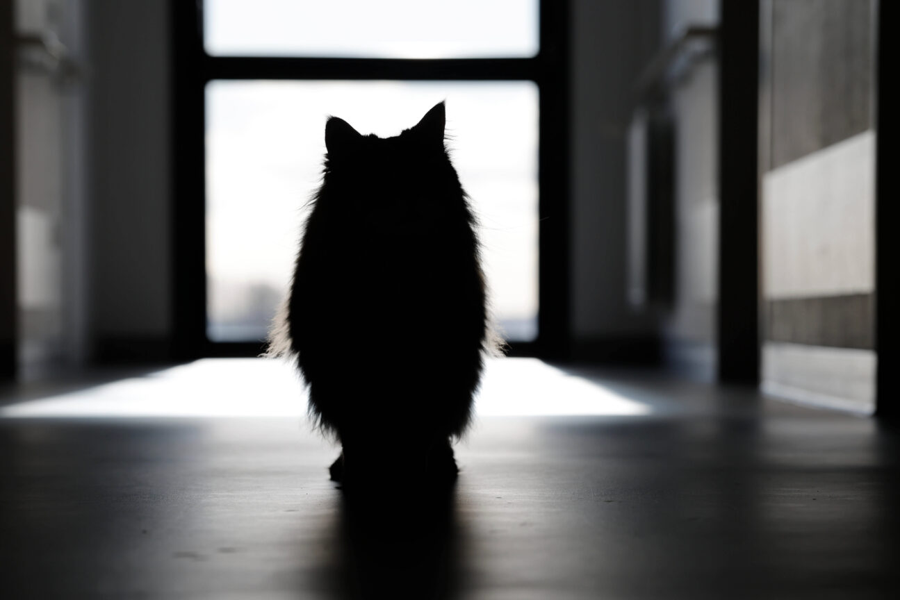 Θεσσαλονίκη