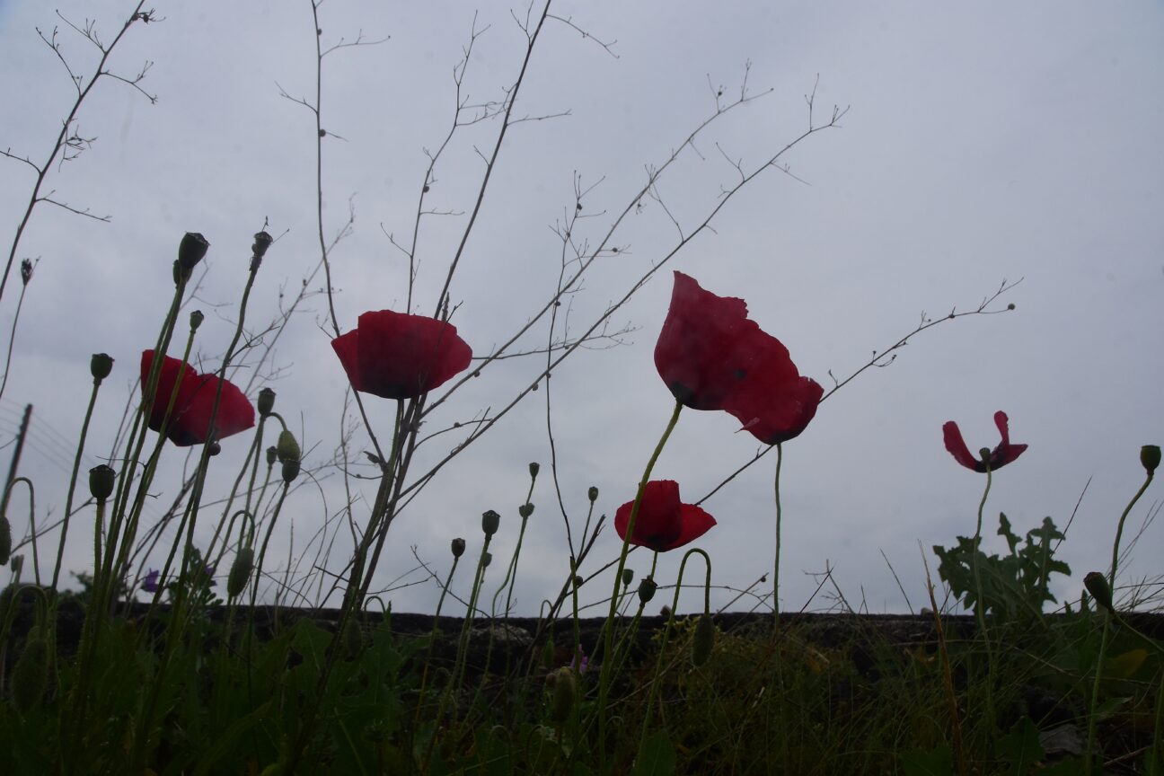 Πρωτομαγιά 2026: Αλλάζει το σκηνικό του καιρού – Έρχονται βροχές και πτώση της θερμοκρασίας