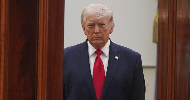 Tramp scaled e1775226202769