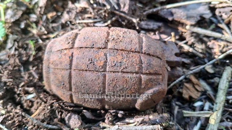 Ευρυτανία: Εντοπίστηκε χειροβομβίδα στο δάσος από υλοτόμους