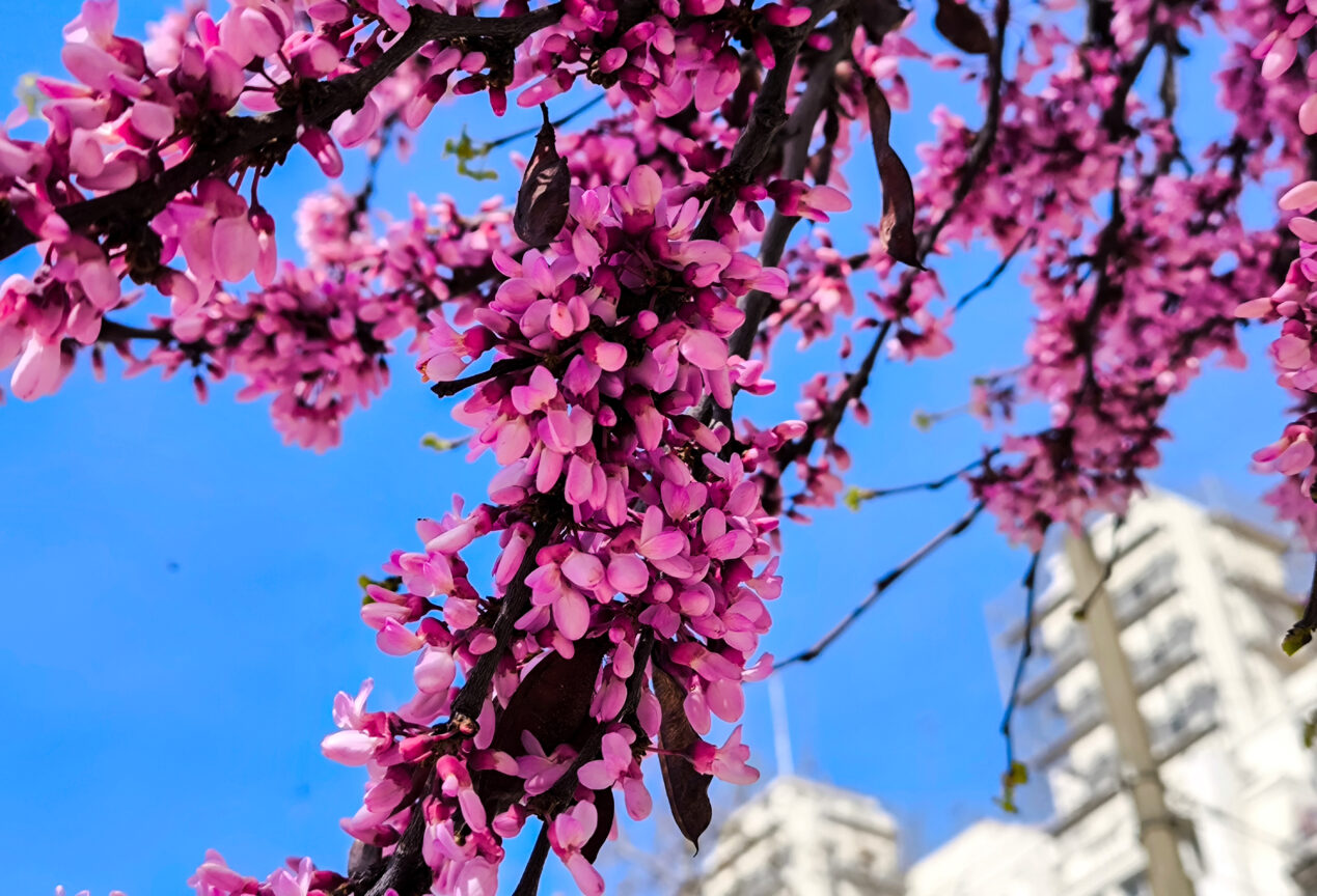 Καιρός: Αγγίζει και τους 25 βαθμούς η θερμοκρασία