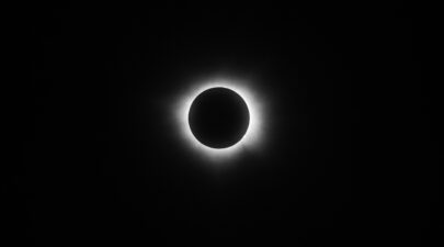 pexels israwmx 22487891