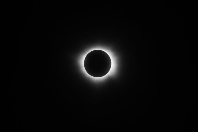 pexels israwmx 22487891