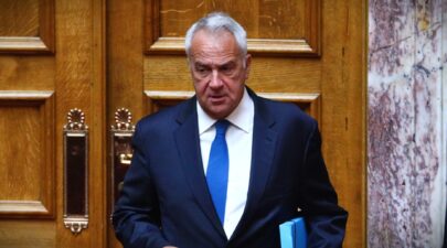 Βορίδης