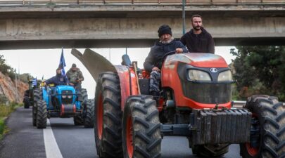 Agrotes Kriti 3