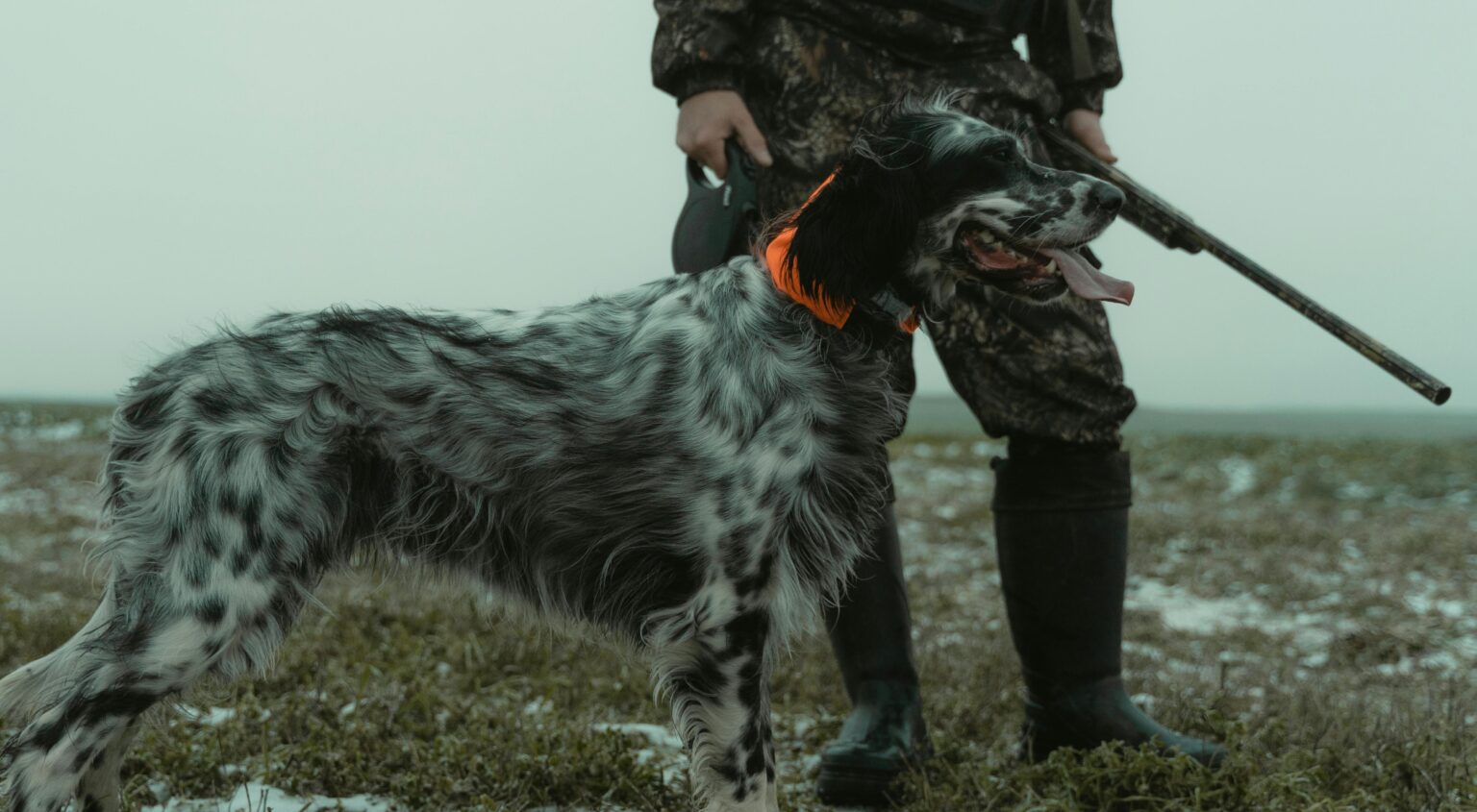 pexels tima miroshnichenko 6204541