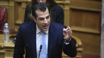 Πλεύρης