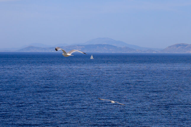 Θάλασσα