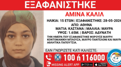 Στιγμιότυπο οθόνης 2026 05 29 175109 1024x535 1