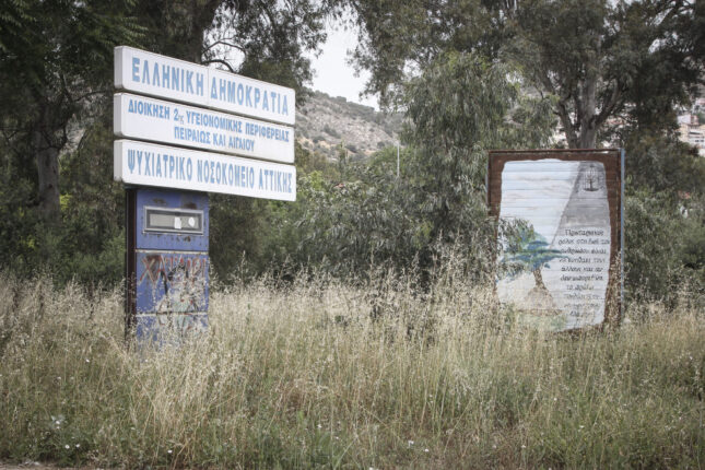 δαφνι1 2048x1365 1