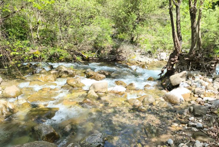Αντιδράσεις από φορείς και κατοίκους για την κατασκευή υδροηλεκτρικού σταθμού στον Αθανάσιο Διάκο Φωκίδας: Ψήφισμα για την αναστολή του έργου