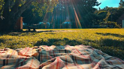 picnic