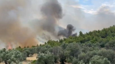Καταγραφή 4