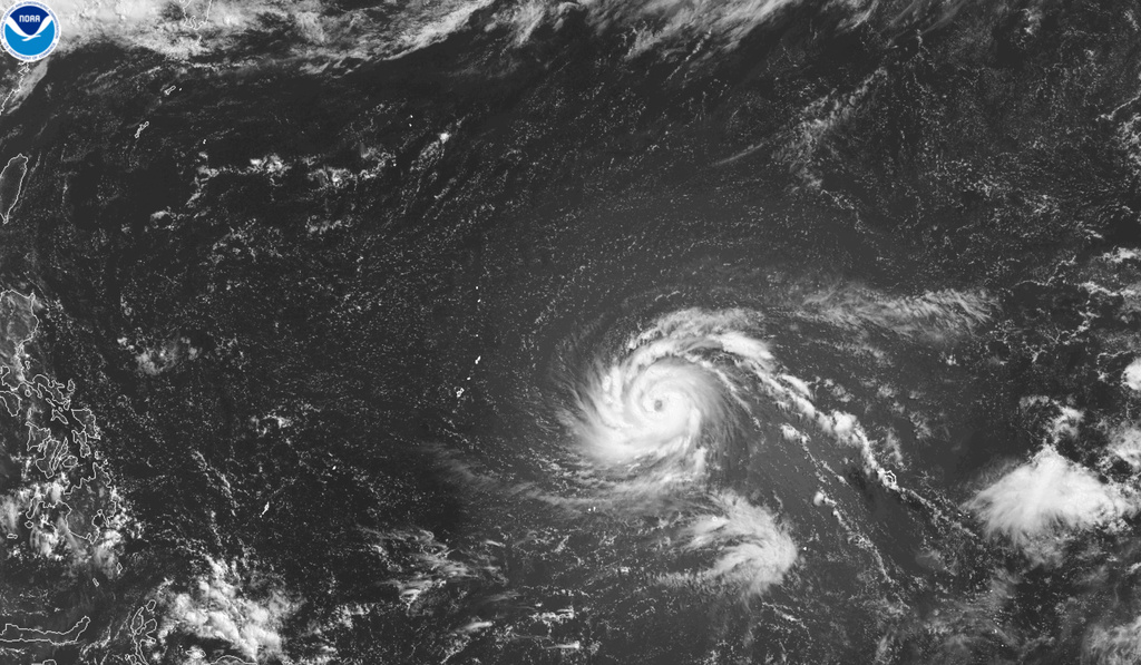 AP26184037335112