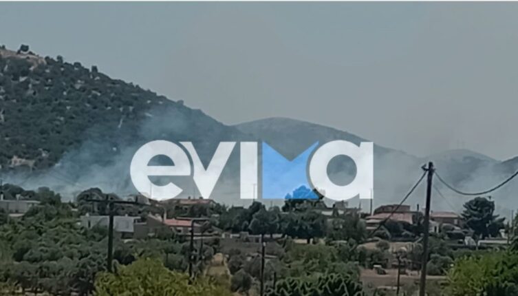 fotia aliveri 1024x585 1