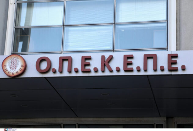 opekepe 6 1269x864 1 1