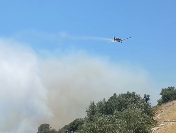 FOTIA LOUTROPYRGOS