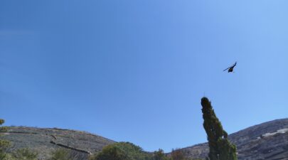 IMG 20260731 113442