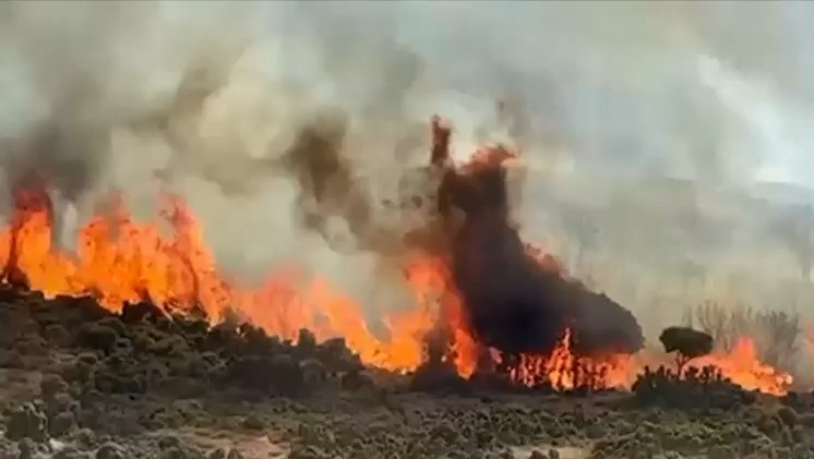 kolympada