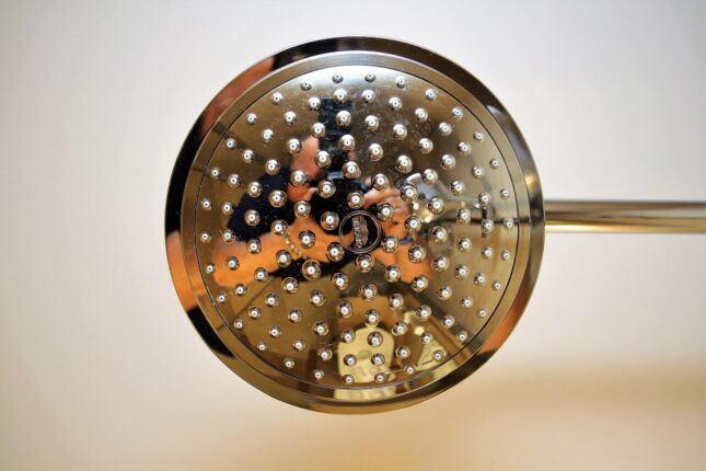reinhardthrainer shower head 5724716 1920