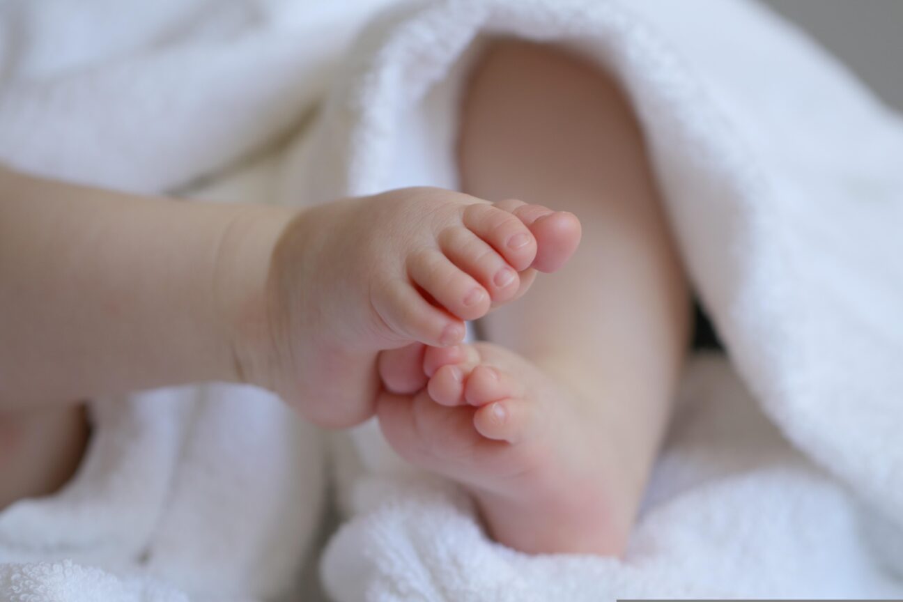 marjonhorn baby 6823431 1