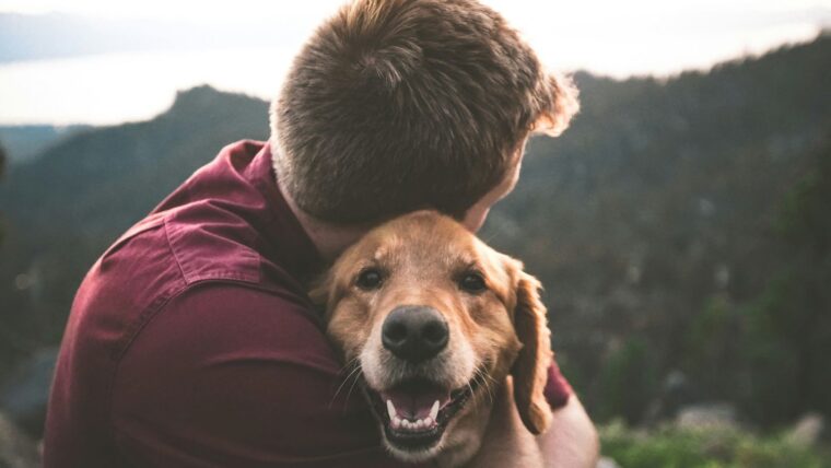 onoma unsplash