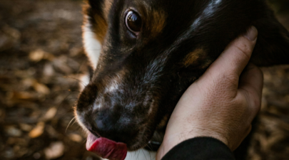 xaidema skilou unsplash