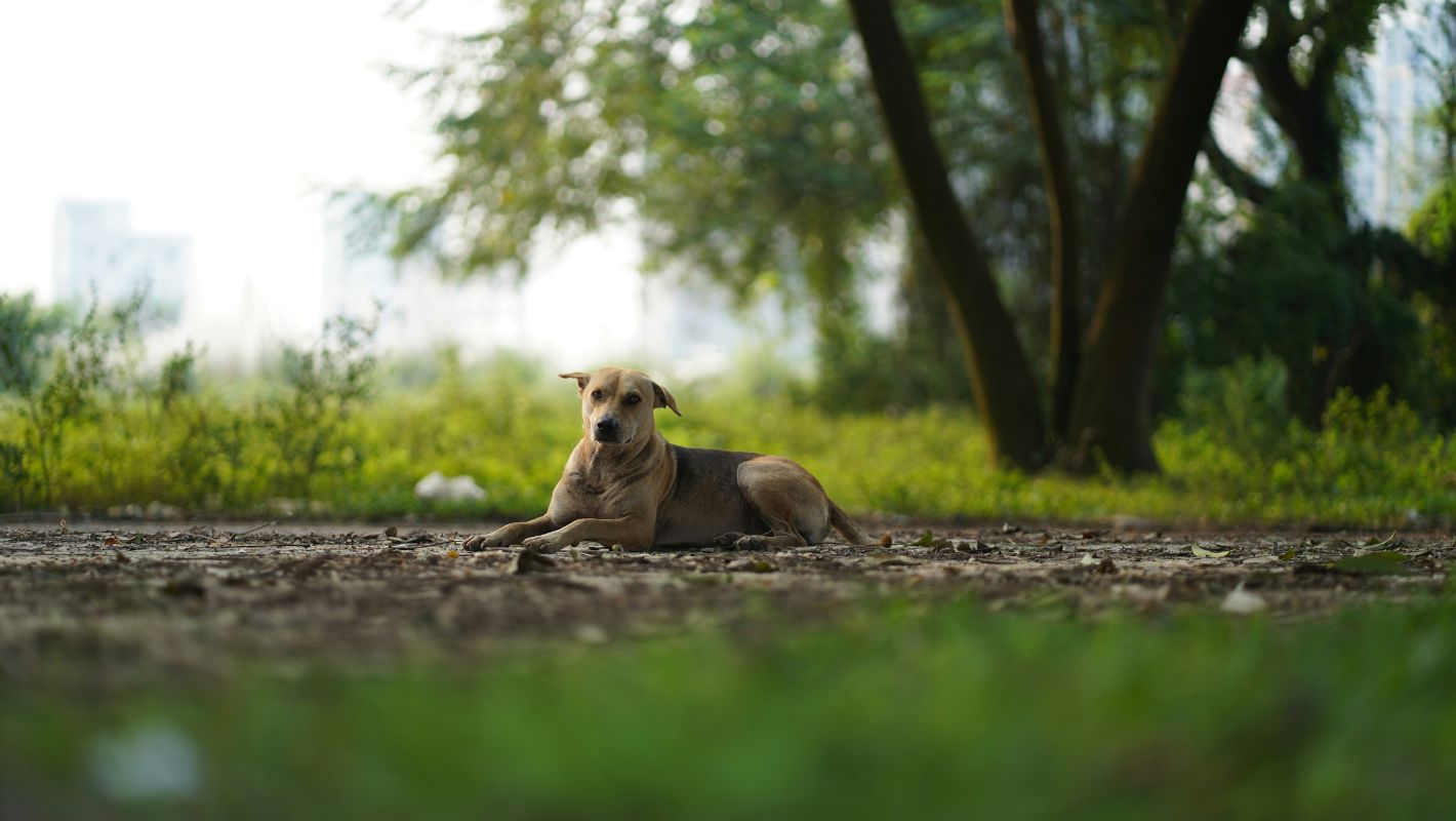 xwrio unsplash