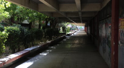 7117302